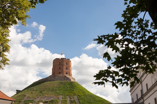 Una vista della torre Gedinimas nel 2020.