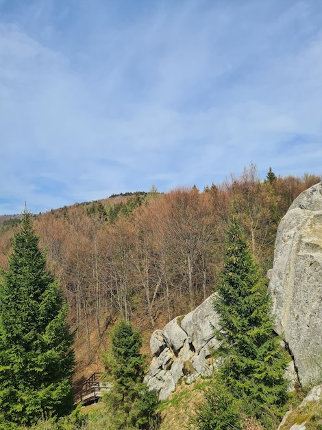 Una vista delle montagne dal sentiero