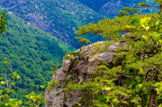 Una vista delle montagne dalla cima della montagna