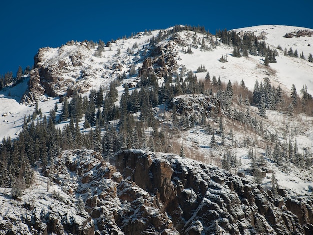 Una vista delle montagne vicino a Ouray, Colorado.