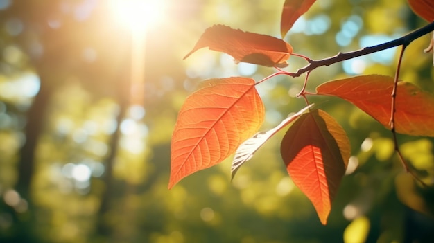 Una vista dettagliata del fogliame su un ramo di albero