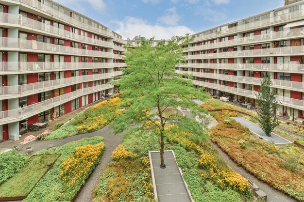 Una vista di un cortile con un albero e degli edifici