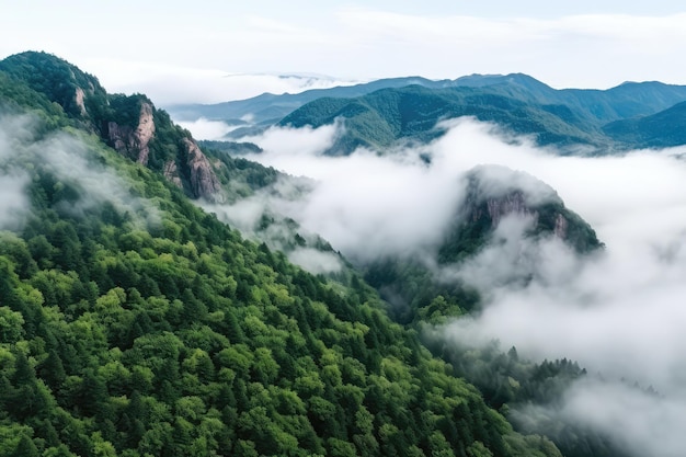 Una Vista Di Una Montagna Coperta Di Nuvole E Alberi