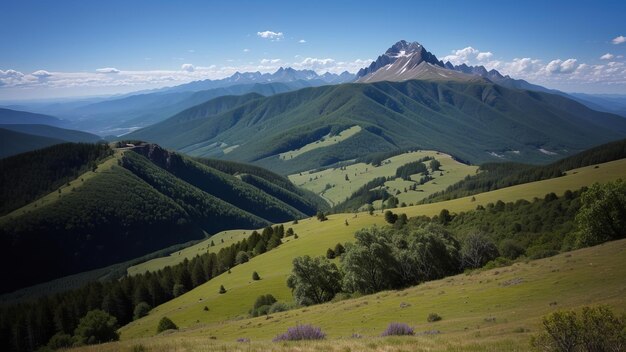 una vista di una valle con una montagna sullo sfondo.