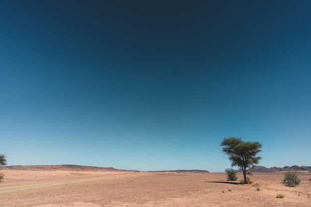 Una vista panoramica del deserto contro un cielo blu limpido