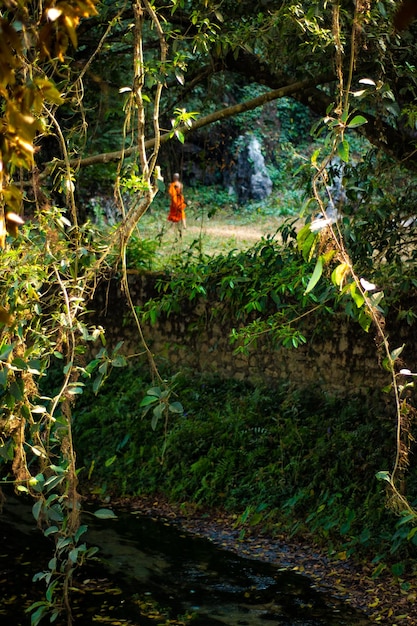 Una vista panoramica della città di Vang Vieng si trova in Laos