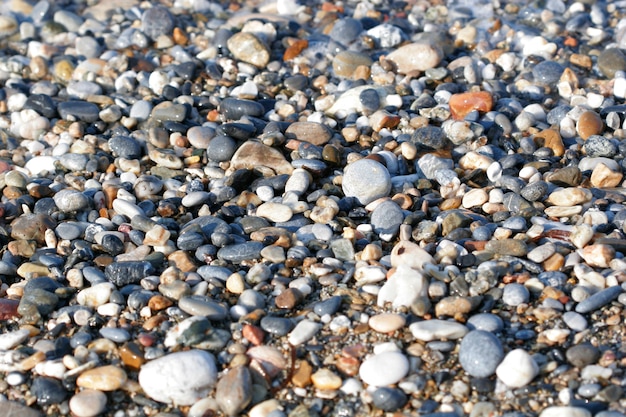 Una vista ravvicinata di pietre multicolori levigate e levigate si sono incagliate sulla spiaggia.