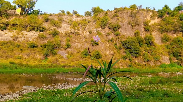 Una vista straordinaria della natura