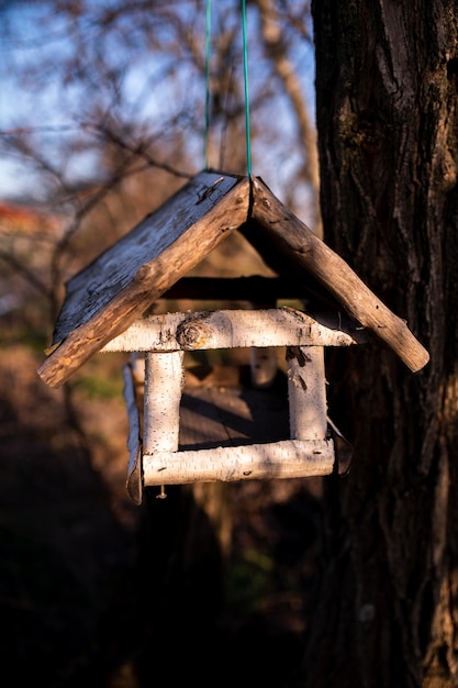 Una voliera appesa a un albero nella foresta