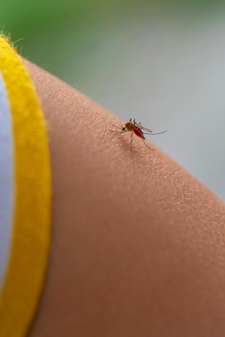 Foto una zanzara sulla mano di un bambino focalizzazione selettiva