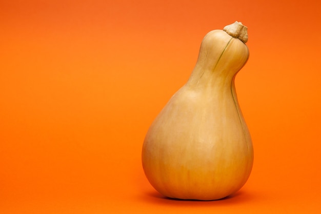 Una zucca a forma di pera o arancia