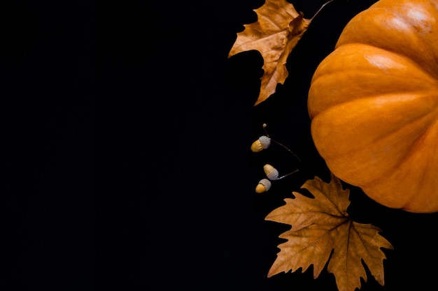 Una zucca arancione con foglie e ghiande giace su uno sfondo nero