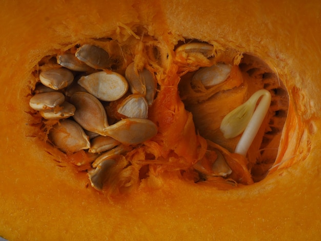 Una zucca con dei semi dentro