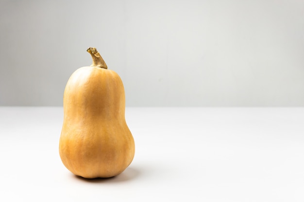 Una zucca matura su uno sfondo bianco vista laterale