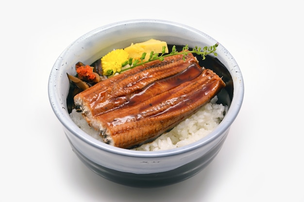 Unagi indossa una ciotola su sfondo bianco