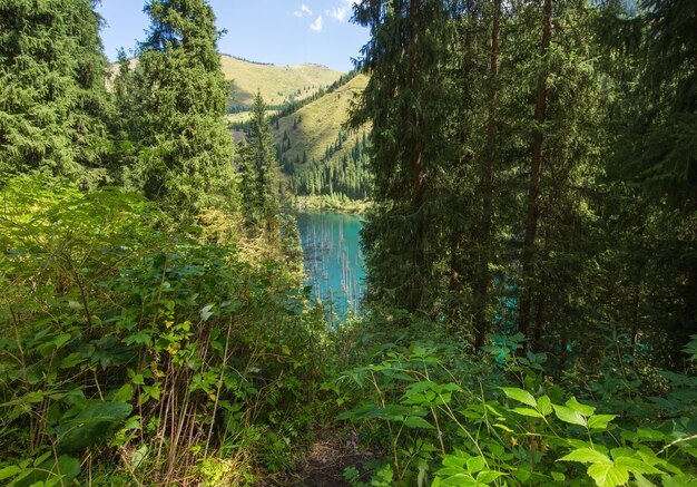 unico lago di montagna di Kaindy in Kazakistan con una foresta sommersa