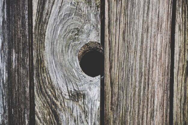 Unico nodo di legno scuro nella plancia di legno di vecchio legno invecchiato