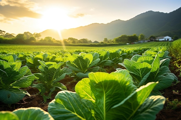 Unity_in_Agriculture_Farmers_at_Work