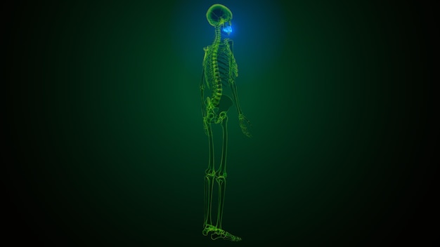 uno scheletro con una luce al neon sullo sfondo