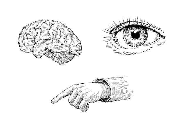 Uno schizzo di un cervello e una mano con l'occhio disegnato in bianco e nero.