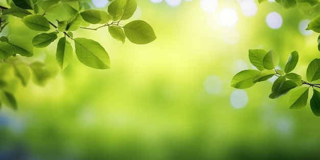 Uno sfondo a foglia verde con un cielo blu e la parola verde su di esso.