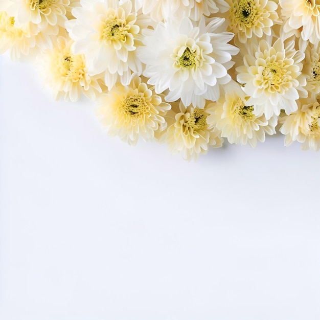 Uno sfondo bianco con un mazzo di fiori su di esso che dice crisantemo.