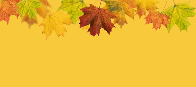 Uno sfondo giallo con foglie d'autunno su di esso