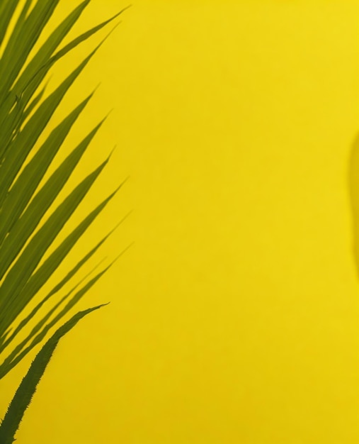 Uno sfondo giallo con una foglia di palma e un cartello che dice