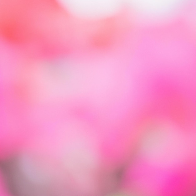 Uno sfondo rosa con uno sfondo sfocato che dice "l'amore è nell'aria"