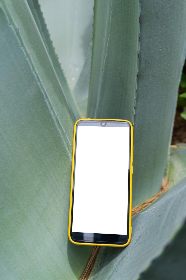 Foto uno smartphone con lo schermo che mostra uno schermo bianco è posizionato su un maguey