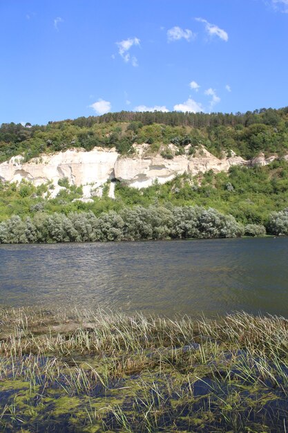 Uno specchio d'acqua con alberi e una scogliera