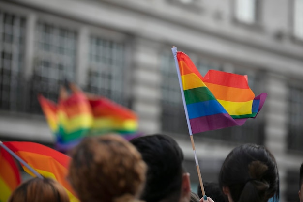 Uno spettatore sventola una bandiera arcobaleno gay a una marcia del Gay Pride LGBT a Londra