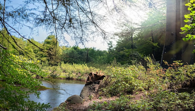 Uno splendido habitat naturale nel parco nazionale