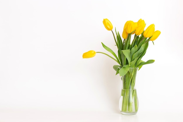 Uno squisito bouquet di tulipani gialli in un vaso di vetro su sfondo bianco