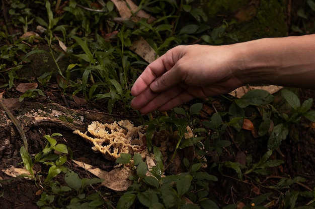 Uomini latini che guardano la natura e se ne prendono cura