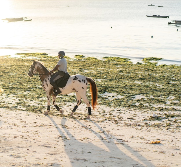 Uomo a cavallo sulla spiaggia. Foto di alta qualità
