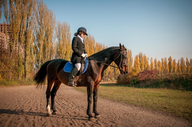 Uomo a cavallo