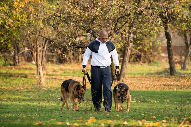 Uomo adulto che cammina all'aperto con i suoi cani Pastore tedesco