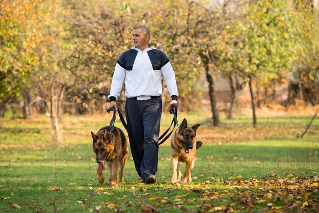 Uomo adulto che cammina all'aperto con i suoi cani Pastore tedesco