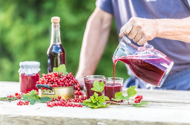 Uomo agricoltore in giardino sul tavolo versando sciroppo di ribes o vino. Ribes rosso e prodotti a base di loro sul tavolo intorno.