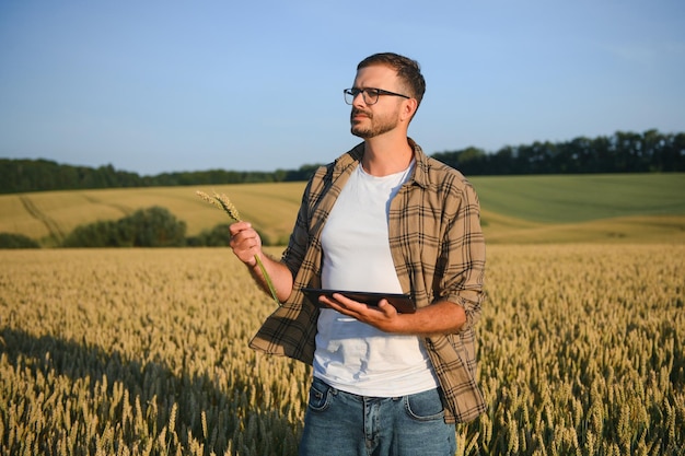 Uomo agricoltore nel campo di grano al tramonto Agricoltura e raccolta agricola