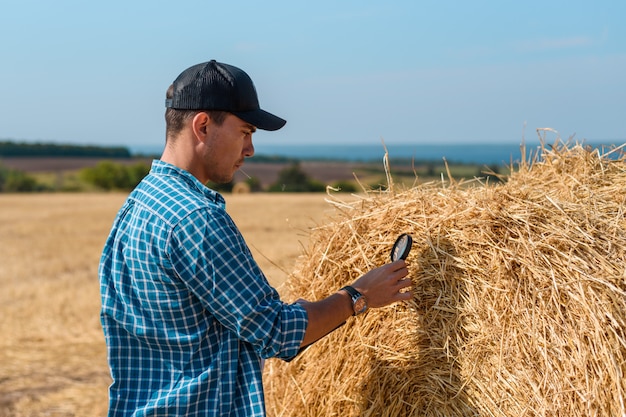 uomo agronomo in un cappello in un campo con una tavoletta e una lente d'ingrandimento valuta il raccolto di fieno