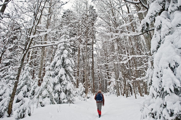 Uomo ai pini coperti da neve alle montagne carpatiche