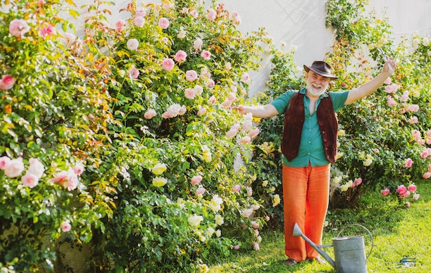 Uomo anziano che lavora sul giardino delle rose Hobby del giardinaggio Routine del cortile di primavera