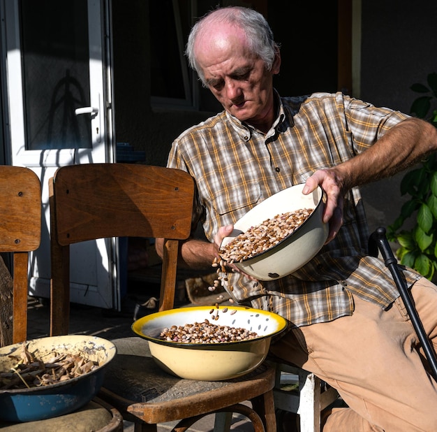 Uomo anziano che sbuccia i fagioli in giardino