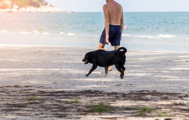 Uomo anziano con cane labrador nero in esecuzione in spiaggia