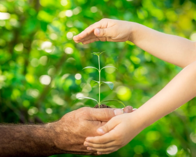 Uomo anziano e bambino che tengono in mano una pianta giovane su sfondo verde primaverile Concetto di giorno della terra