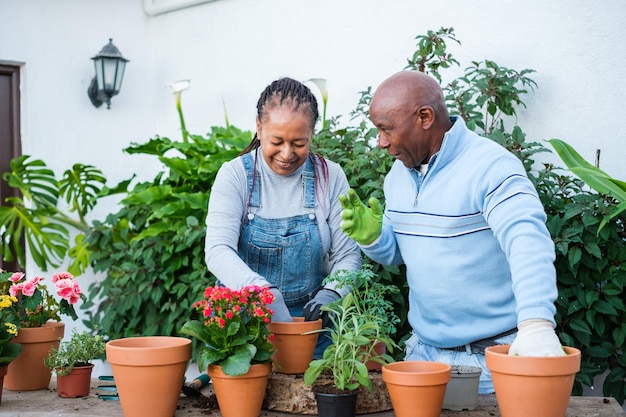 Uomo anziano e donna che fanno giardinaggio insieme all'aperto in modo che le piante fioriscano in stagione Concetto Giardinaggio artigianato fiori