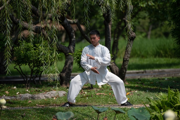 Uomo asiatico che risolve con il Tai Chi di mattina al parco, arti marziali cinesi, cura sana per il concetto di vita.