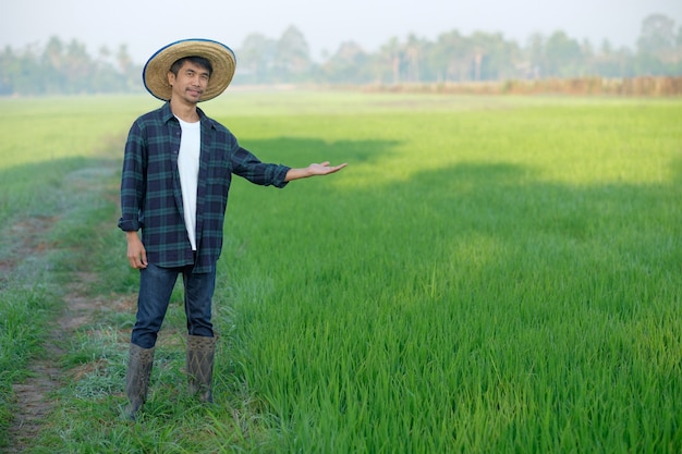 Uomo asiatico dell'agricoltore con il cappello dell'uomo che sta e che posa alla fattoria del riso verde